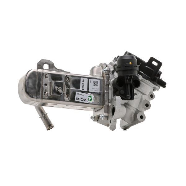 DRI 717730163 AGR-Ventil