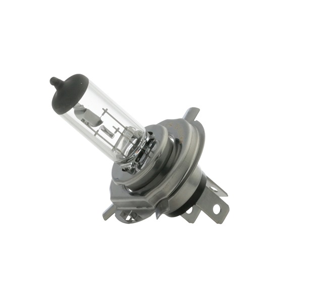 Glühlampe, Fernscheinwerfer 141 520 90 MAXGEAR 78-0009