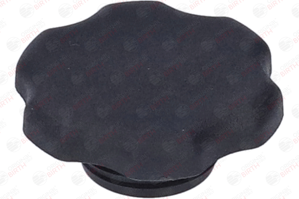 Tapon aceite motor BIRTH 8813