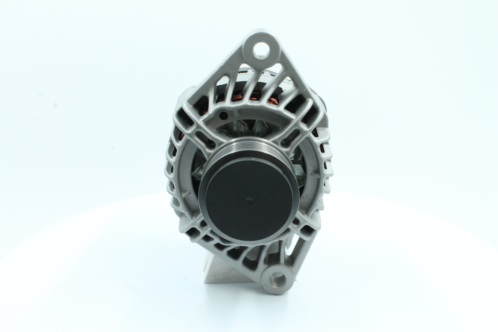 PowerMax 89213550 Lichtmaschine