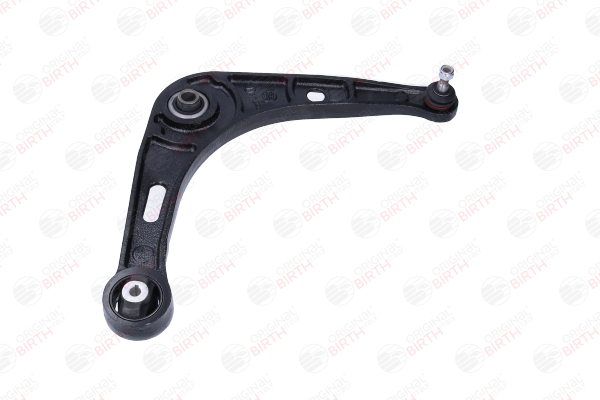 Suspension arm BIRTH BR1344