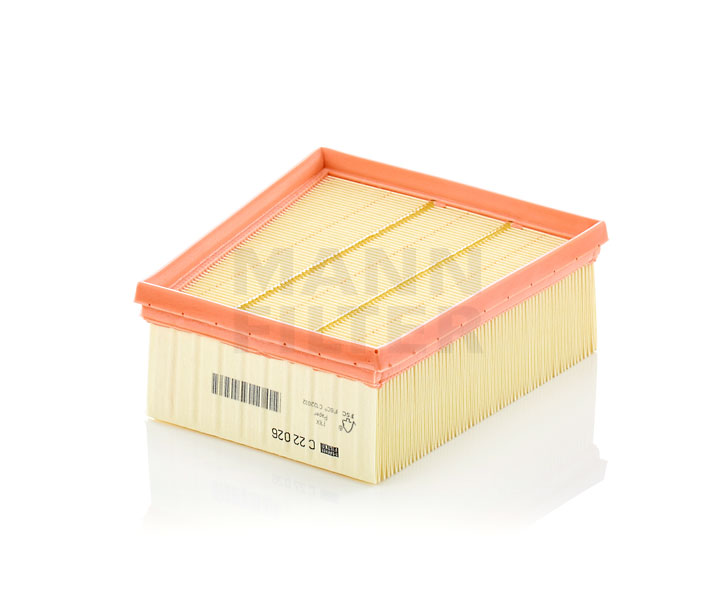 10843296 Filtru aer motor MANN-FILTER Renault preț