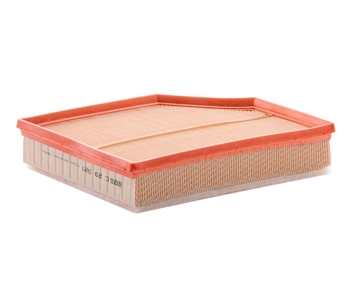 10843418 MANN-FILTER C 29 021