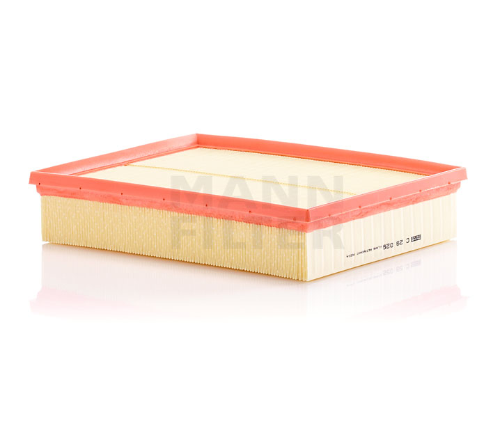 10843421 MANN-FILTER C 29 029