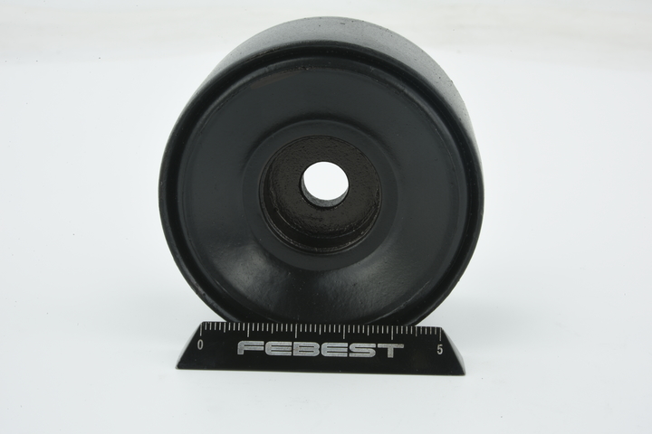 Supporto ammortizzatore FEBEST CDSS-CTSF