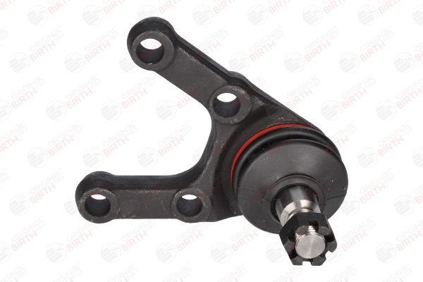 Pivot BIRTH CX3465