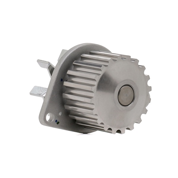 DAYCO DP010 Pompa apa