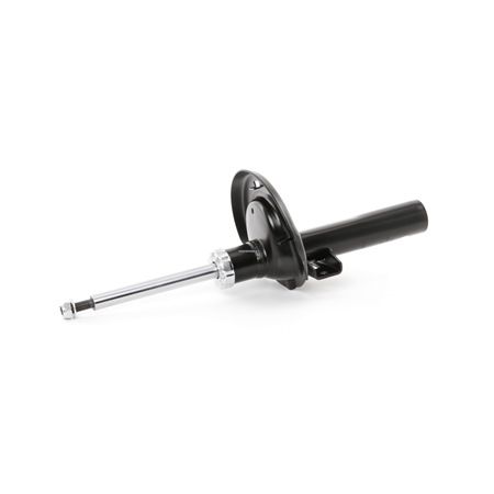 DENCKERMANN DSB124G Amortizor