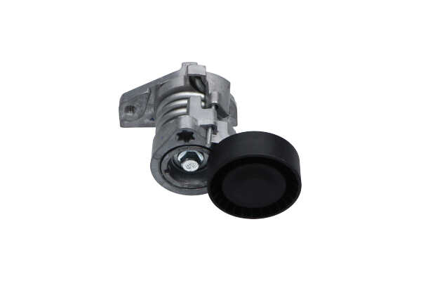 Spannrolle KAVO PARTS Fiat DUCATO Kosten