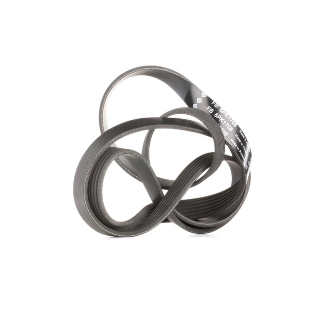 6PK1708 Flachriemen INA BMW Preis
