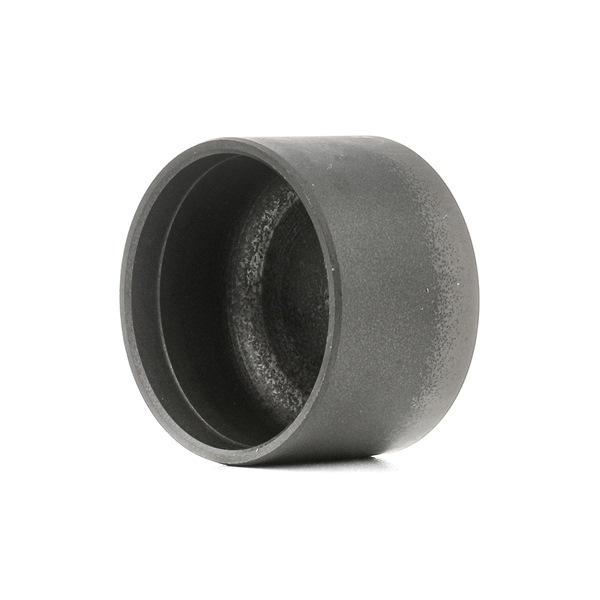 11233181 AE FOL59 Poussoir hydraulique JAGUAR E-TYPE 1975 prix