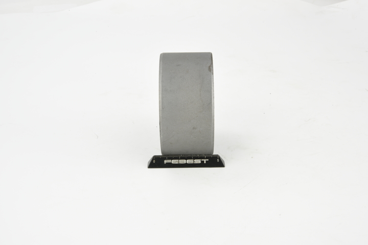Lagerung, Differential NAB-275 FEBEST 554008H300 NISSAN, HONDA