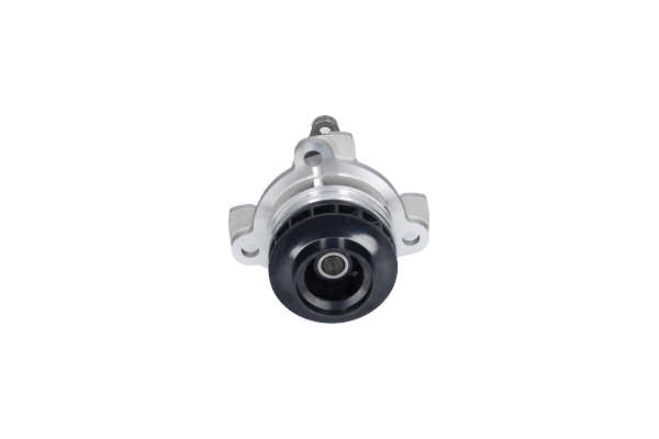 Wasserpumpe 699 200 0800 KAVO PARTS NW-4251 MERCEDES-BENZ, OPEL, RENAULT