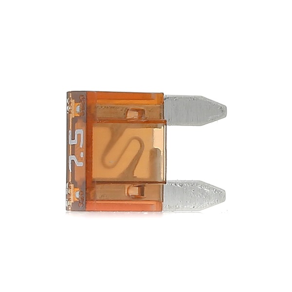 Fusíveis BOSCH 1 987 529 029
