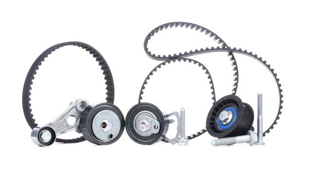 BOSCH 8254 Kit de distribution VW BORA 1.6 FSI Essence 110 CV