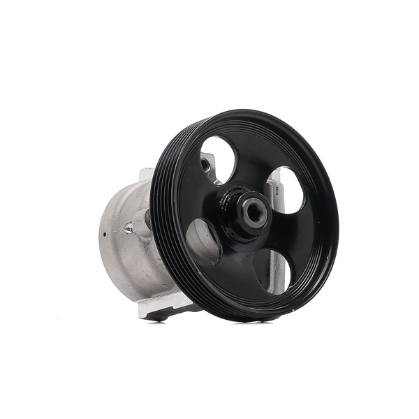 BGA PSP7300 Pompe de direction assistée