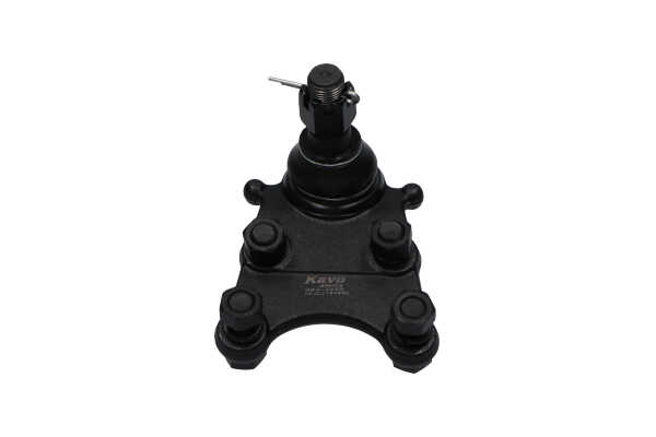 KAVO PARTS 12050922 Шарнирен болт ISUZU D-MAX III Пикап (RG01) цена