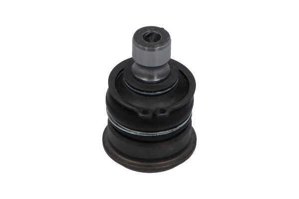 12051091 KAVO PARTS SBJ6561 Шарнири NISSAN Micra IV Хечбек (K13KK) цена