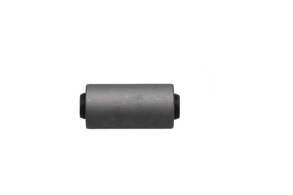 KAVO PARTS SBL-5506 Втулка, ресьорен лист