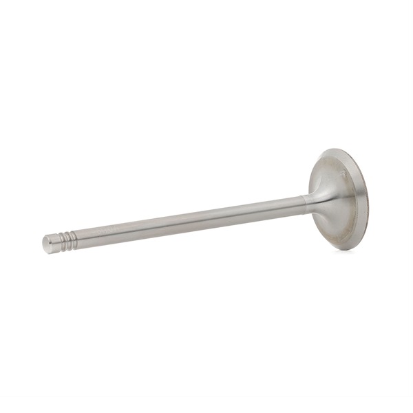 Einlassventil V011960 BGA 11341738218 BMW