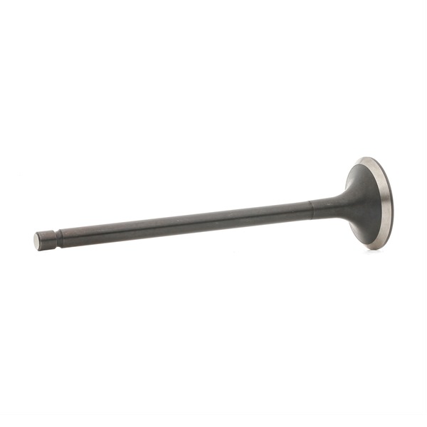 BGA V166041 Auslassventil