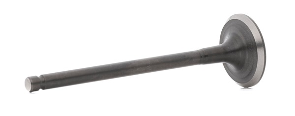 Auslassventil V998727 BGA 132022F210 NISSAN