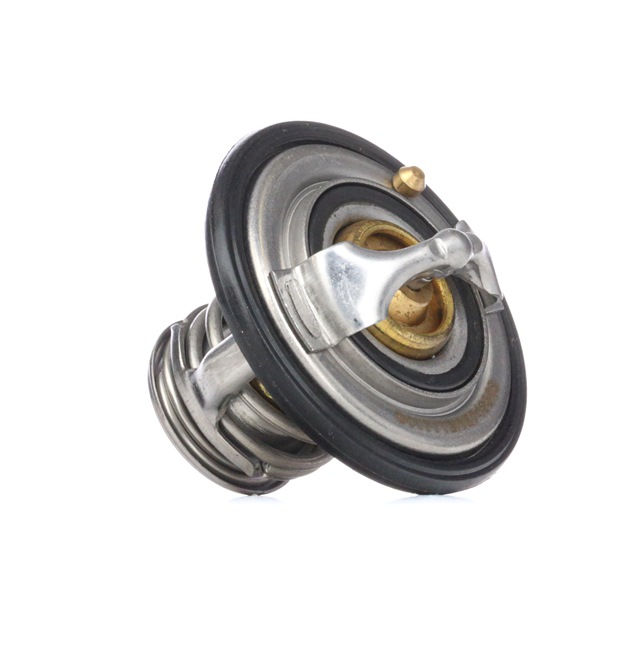 STARK SKTC-0560205 Termostat, lichid racire