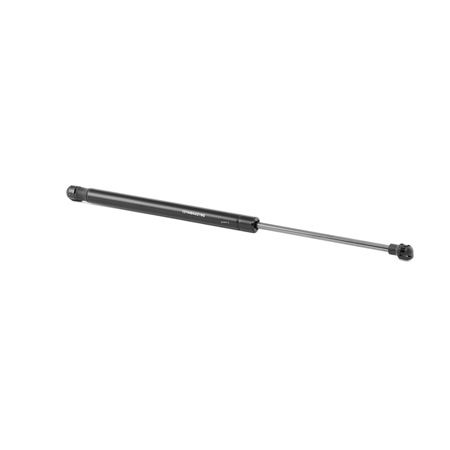 RIDEX 219G0735 Heckklappendämpfer