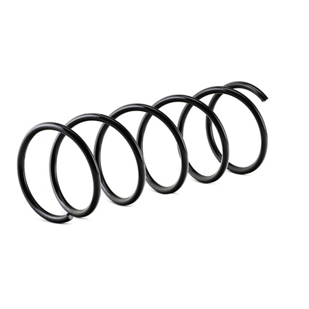 RIDEX 188C0415 Ressort de suspension