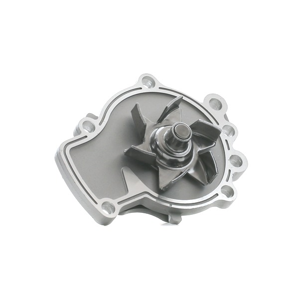 RIDEX 1260W0273 Pompe à eau