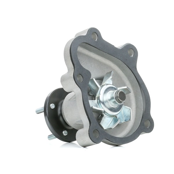 RIDEX 1260W0293 Pompe à eau