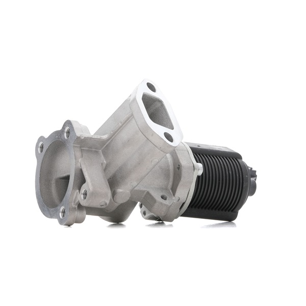 RIDEX 1145E0169 AGR-Ventil