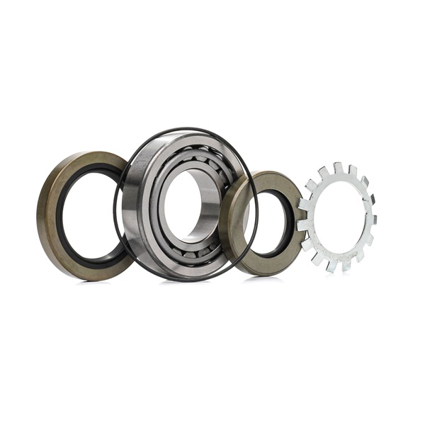 RIDEX 654W0755 Radlagersatz