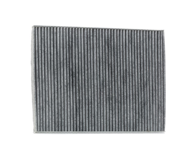 STARK SKIF-0170403 Filtre d'habitacle