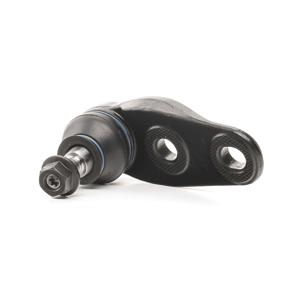 12754837 RIDEX 2462S0324 Kulový čep ramene Mini Roadster R59 cena