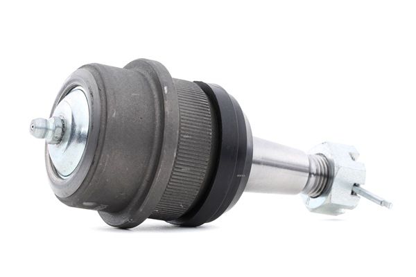 Шарнирен болт RIDEX 2462S0348