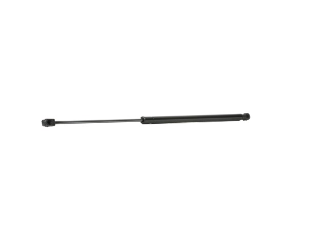 RIDEX 219G0834 Amortiguador de maletero