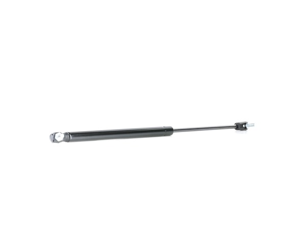 RIDEX 219G0841 Heckklappendämpfer