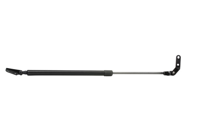 RIDEX 219G0846 Vérin de coffre