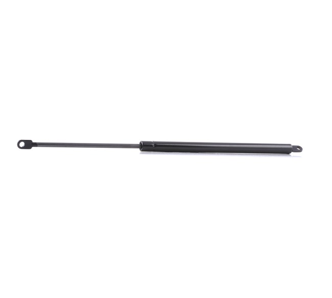 RIDEX 219G0853 Heckklappendämpfer