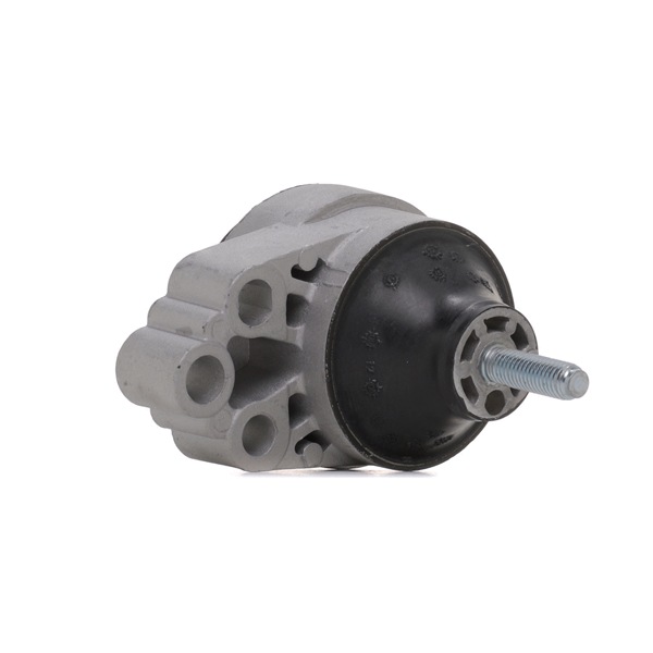 STARK SKEM0660249 Support moteur Support moteur 1 072 571 STARK SKEM-0660249 FORD