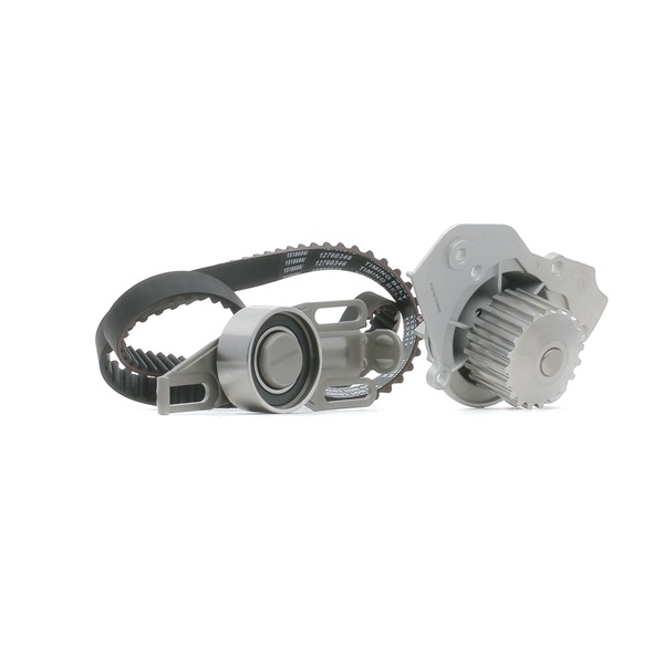 Wasserpumpe + Zahnriemensatz 3096W0194 RIDEX 082912 VW, PEUGEOT, CITROЁN