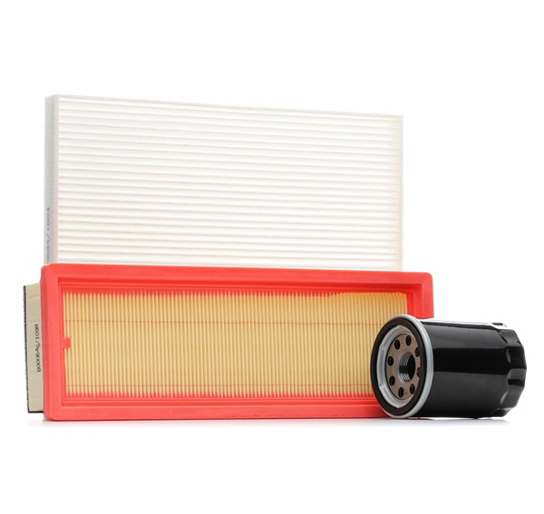 Kit de revisão RIDEX 4055F0124