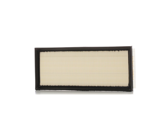 RIDEX 8A0653 Filtru aer