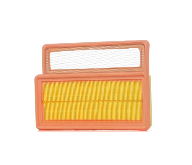 RIDEX 8A0663 Въздушен филтър