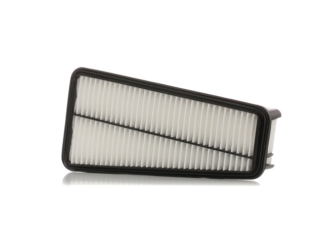 RIDEX 8A0730 Filtre à air