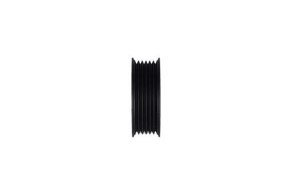 KAVO PARTS DIP1503 Déviation poulie de guidage Daihatsu Terios J2 1.5 4x4 105 CV Essence 2020