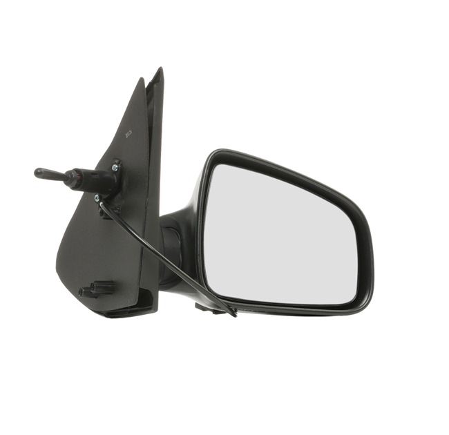 12936524 Specchietto retrovisore esterno PRASCO Dacia