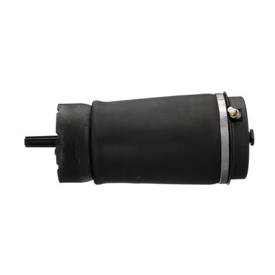 Arnott A-2831 Luftbelg