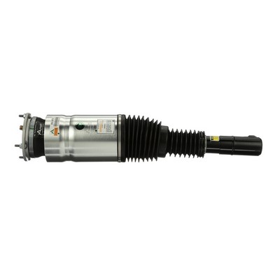 AS-3362 Arnott AS-3070 Ammortizzatore pneumatico